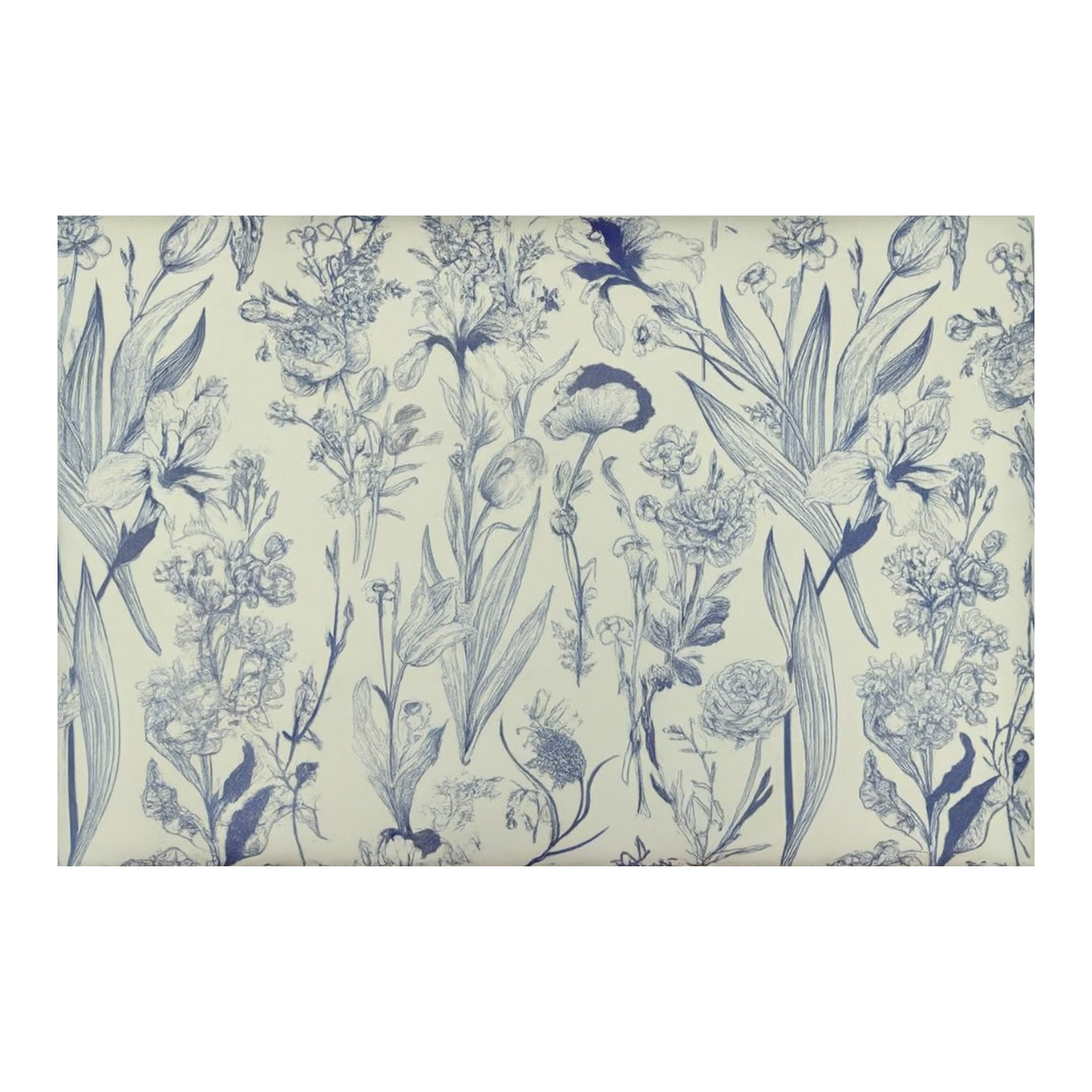 Custom Website Development