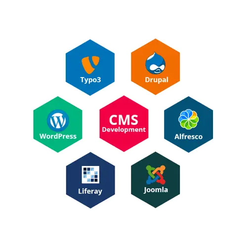 CMS Web Development