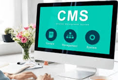 CMS Web Development