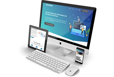 Custom Website Development