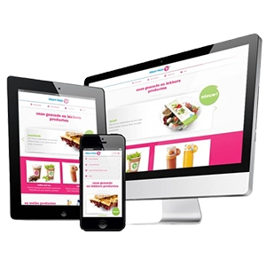 Modern Responsive Web Design for Haryana’s Brands